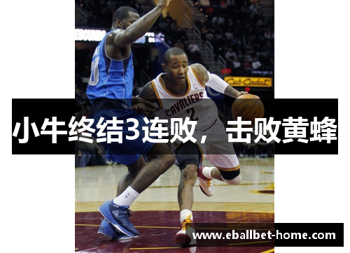 小牛终结3连败，击败黄蜂