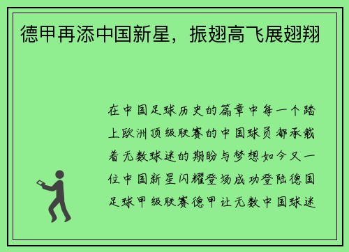 德甲再添中国新星，振翅高飞展翅翔